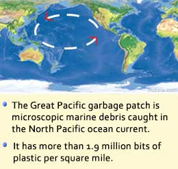 واقعیت‌های آلودگی اقیانوس‌ها