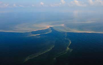 واقعیت‌های آلودگی اقیانوس‌ها