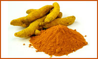 زردچوبه زردچوبه