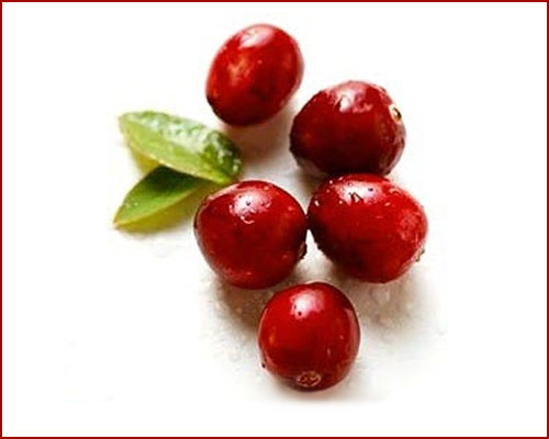 زغال اخته