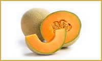 طالبی طالبی