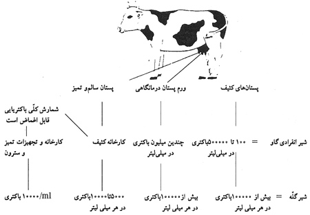 کیفیت بهداشتی شیر