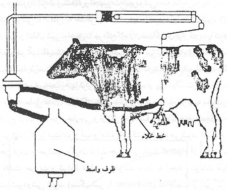 کیفیت بهداشتی شیر