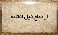 از دماغ فیل افتاده از دماغ فیل افتاده