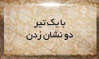 با یك تیر دو نشان زدن با یك تیر دو نشان زدن