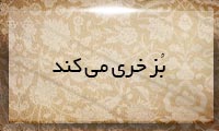 بُز خری میكند بُز خری میكند