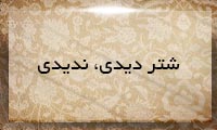 شتر دیدی، ندیدی شتر دیدی، ندیدی
