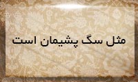 مثل سگ پشیمان است مثل سگ پشیمان است