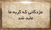 مژدگانی كه گربه ما عابد شد مژدگانی كه گربه ما عابد شد