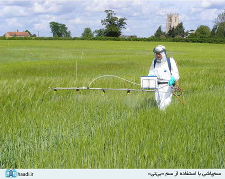 محصولات تراریخته؛ نابودگر نسل‌های آینده