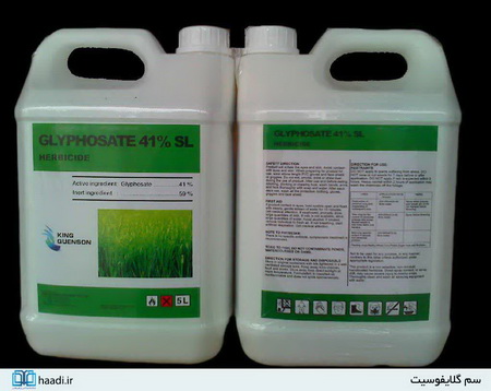 محصولات تراریخته؛ نابودگر نسل‌های آینده