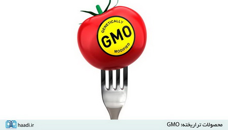 محصولات تراریخته؛ نابودگر نسل‌های آینده