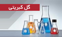 گل کبریتی Lycopodium clav گل کبریتی Lycopodium clav