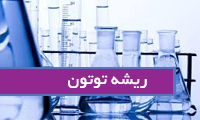 ریشه توتون Phytolacca dec ریشه توتون Phytolacca dec