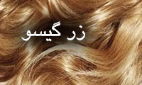 زرگیسو زرگیسو