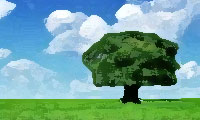 درخت سحرآمیز درخت سحرآمیز