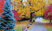   ده مکان بسیار زیبا در سوییس -2