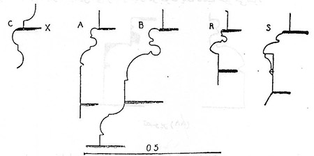 ستون در معماری گوتیک