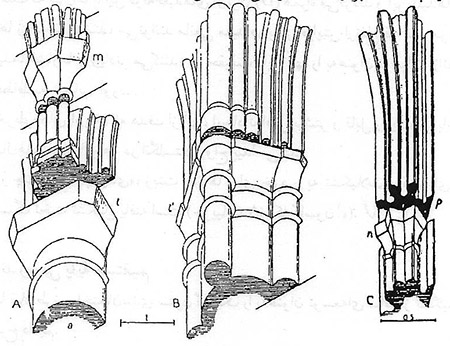 ستون در معماری گوتیک