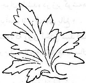 ستون در معماری گوتیک
