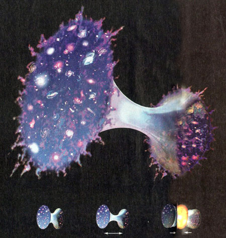 جهان باورنکردنی همزاد ما