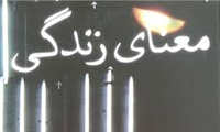 در جست و جوی معنای زندگی