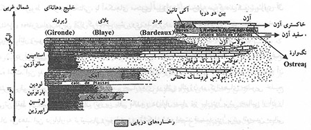 دوره پالئوژن یا نومولیتیک 