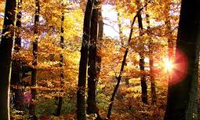 نقاش ازل در مثنوی نقاش ازل در مثنوی