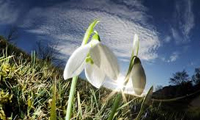 مثنوی و سروش آسمانی مثنوی و سروش آسمانی