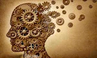 اجزاء و عوامل خلاّقیت اجزاء و عوامل خلاّقیت