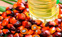روغن نخل قرمز