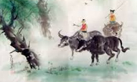  نوازنده‌ی هنرمند و گاودار ممسك