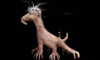تاریخچهی گروتسك تاریخچهی گروتسك