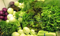 میوه و سبزیجات اورگانیک