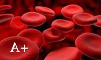   آنچه که لازم است دارندگان گروه خونی مثبت اِی بخورند.