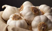   آیا سیر برای سلامتی شما مفید است