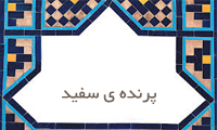 پرنده‌ی سفید