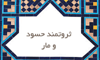  ثروتمند حسود و مار