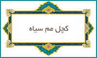  كچل مم سیاه
