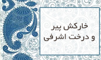  خاركش پیر و درخت اشرفی