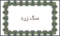  سگ زرد