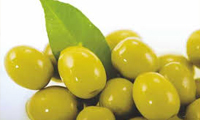   فواید روغن زیتون در سلامت