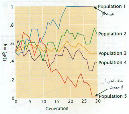  تکامل از دیدگاه ژنتیک