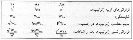  تکامل از دیدگاه ژنتیک