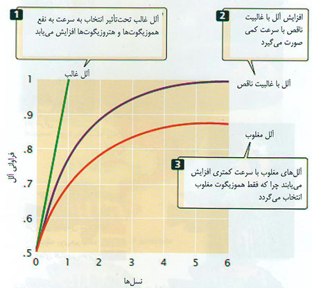  تکامل از دیدگاه ژنتیک