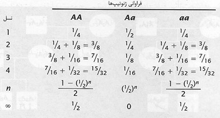 قانون هاردی – واینبرگ