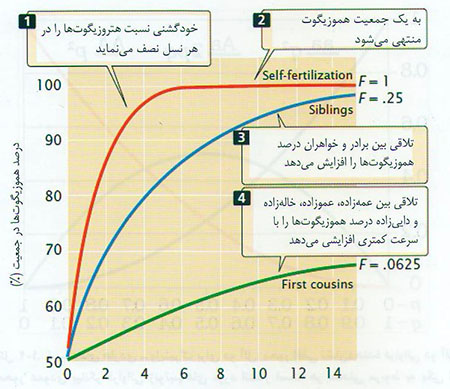 قانون هاردی – واینبرگ