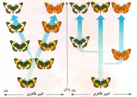 چگونگی پیدایش گونه‌ها