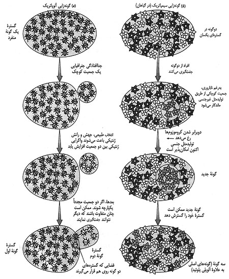 چگونگی پیدایش گونه‌ها
