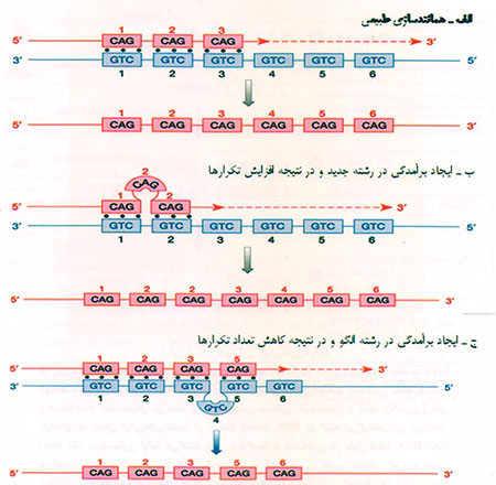 خانواده‌ی ژنی